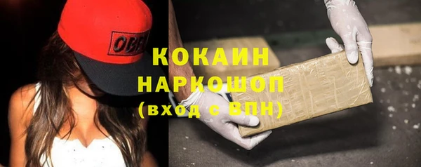 гашик Покровск