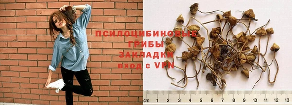 твердый Пересвет