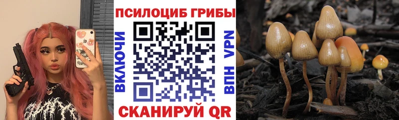 Галлюциногенные грибы ЛСД Сергач